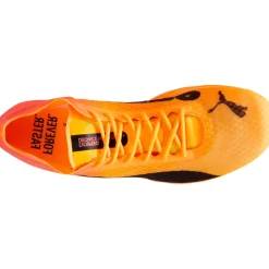 EVOSPEED DISTANCE NITRO ELITE+ 4 SPIKSKOR