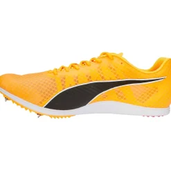 EVOSPEED DISTANCE 11 SPIKSKOR