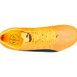 EVOSPEED DISTANCE 11 SPIKSKOR