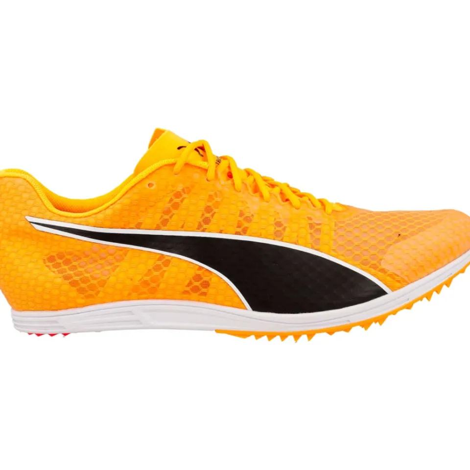 EVOSPEED DISTANCE 11 SPIKSKOR