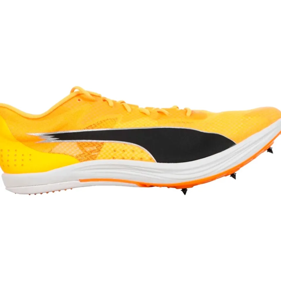 EVOSPEED LONG DISTANCE SPIKSKOR